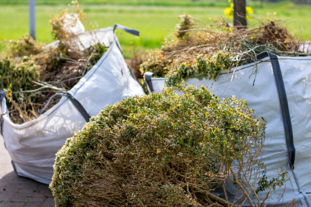 Best Mattress Disposal  in Princeton, MO