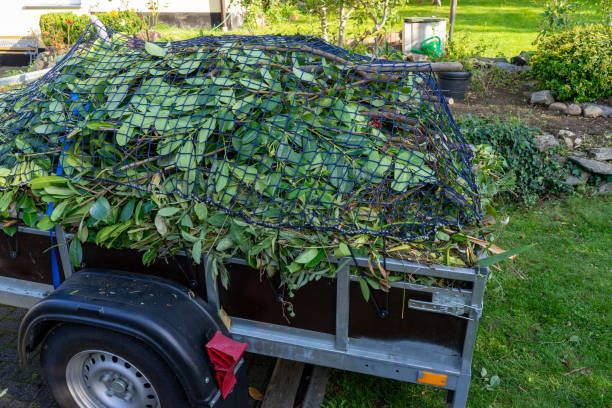 Best Hoarding Cleanup  in Princeton, MO